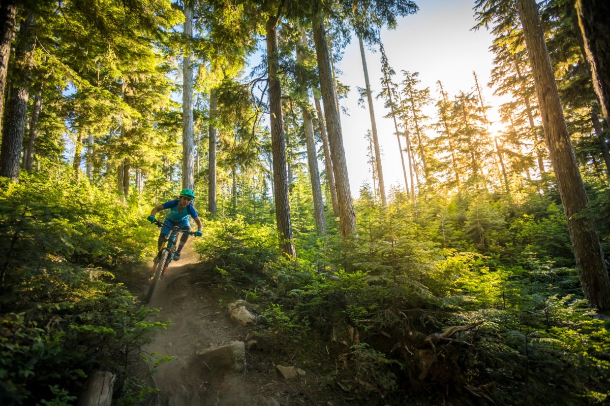 Bike park trails