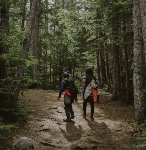 Forest path representing baby rental gear access
