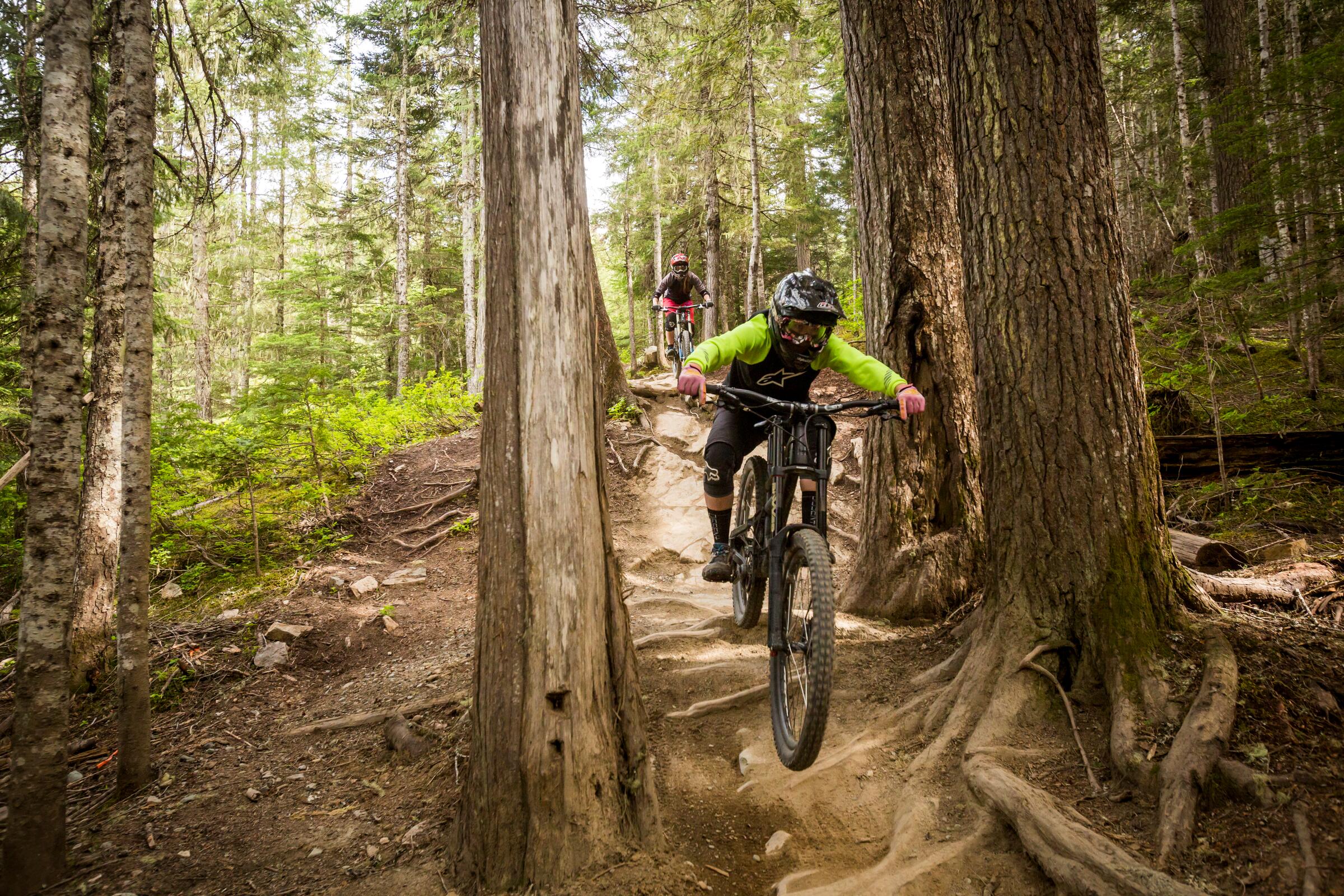Cyclist riding a forest trail