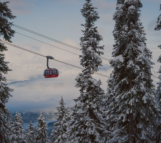 Skier on a snowy slope